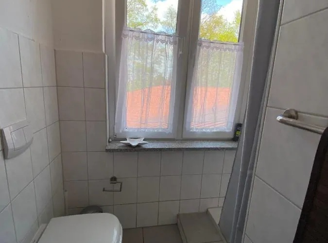 Radler * Seehausen (Saxony-Anhalt)